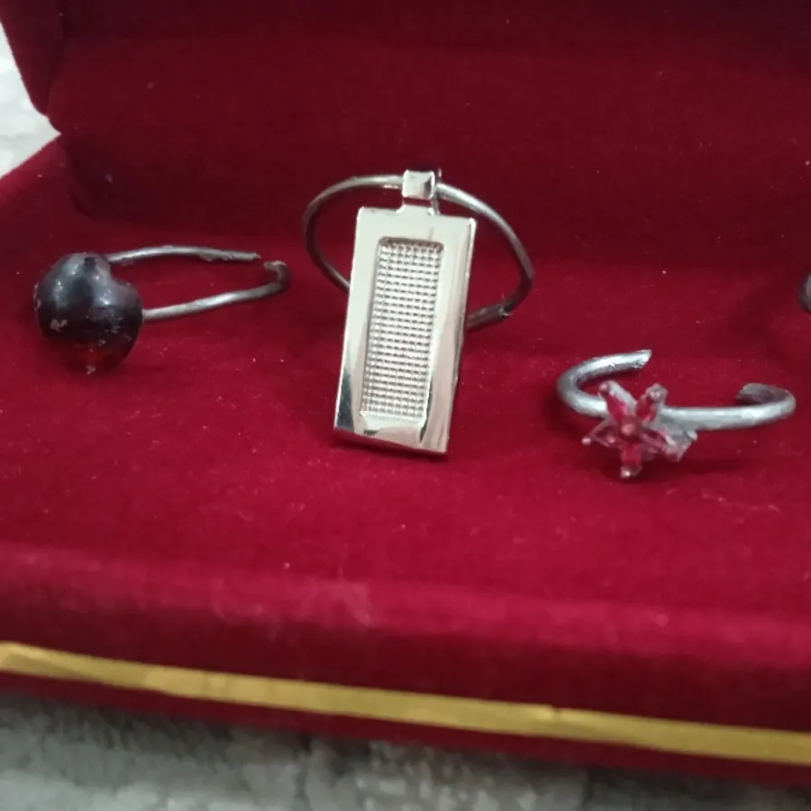 انواع بدلیجات