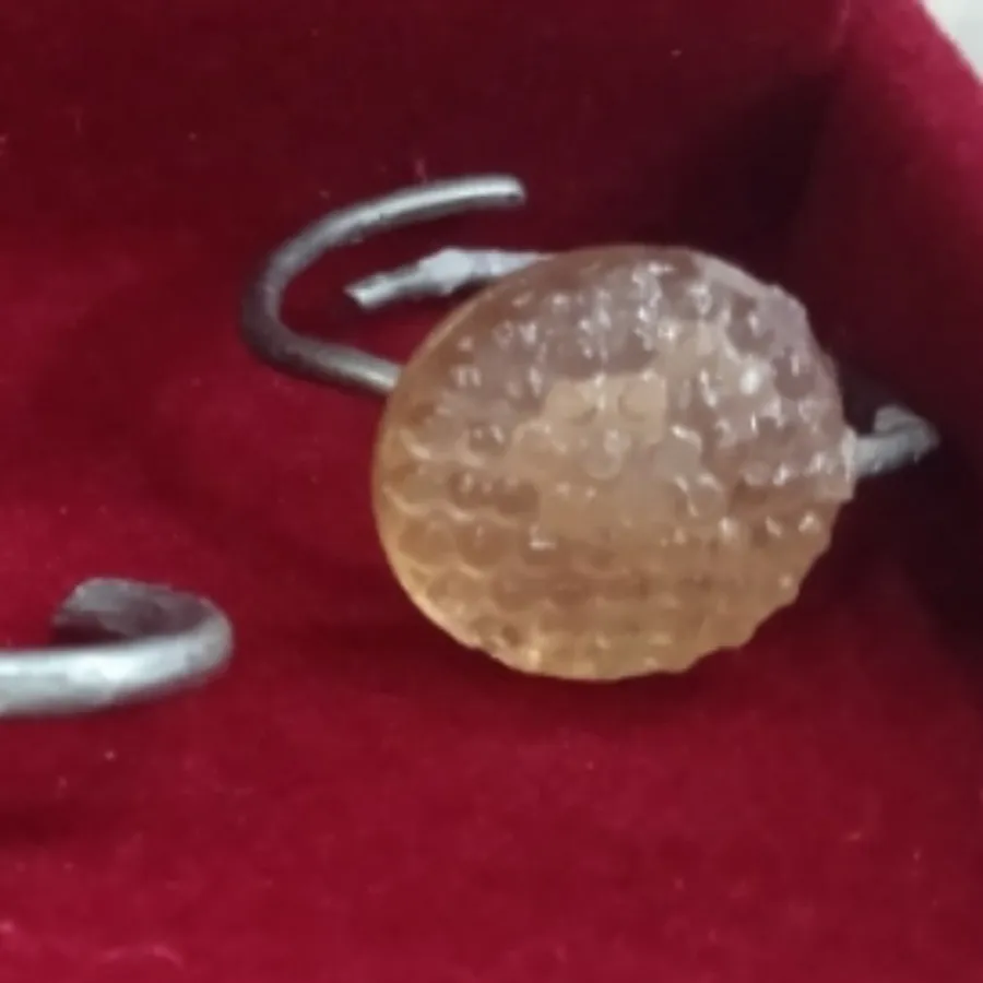 انواع بدلیجات