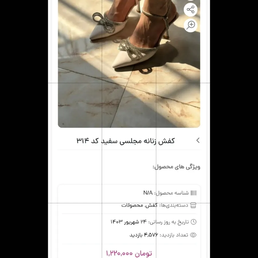 کفش مجلسی پاپیونی