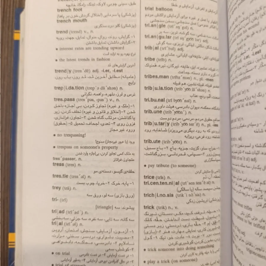 فرهنگ لغت آریانپور