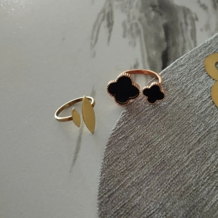 دو عدد انگشتر