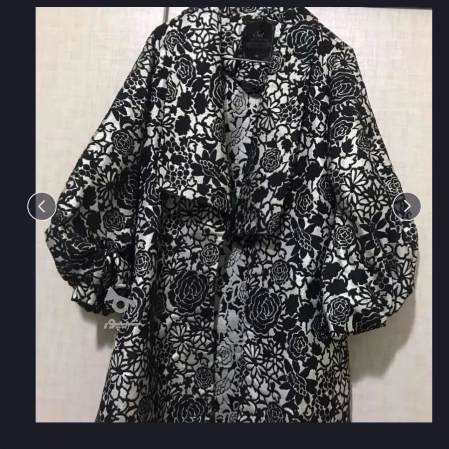 پالتو کتی مجلسی