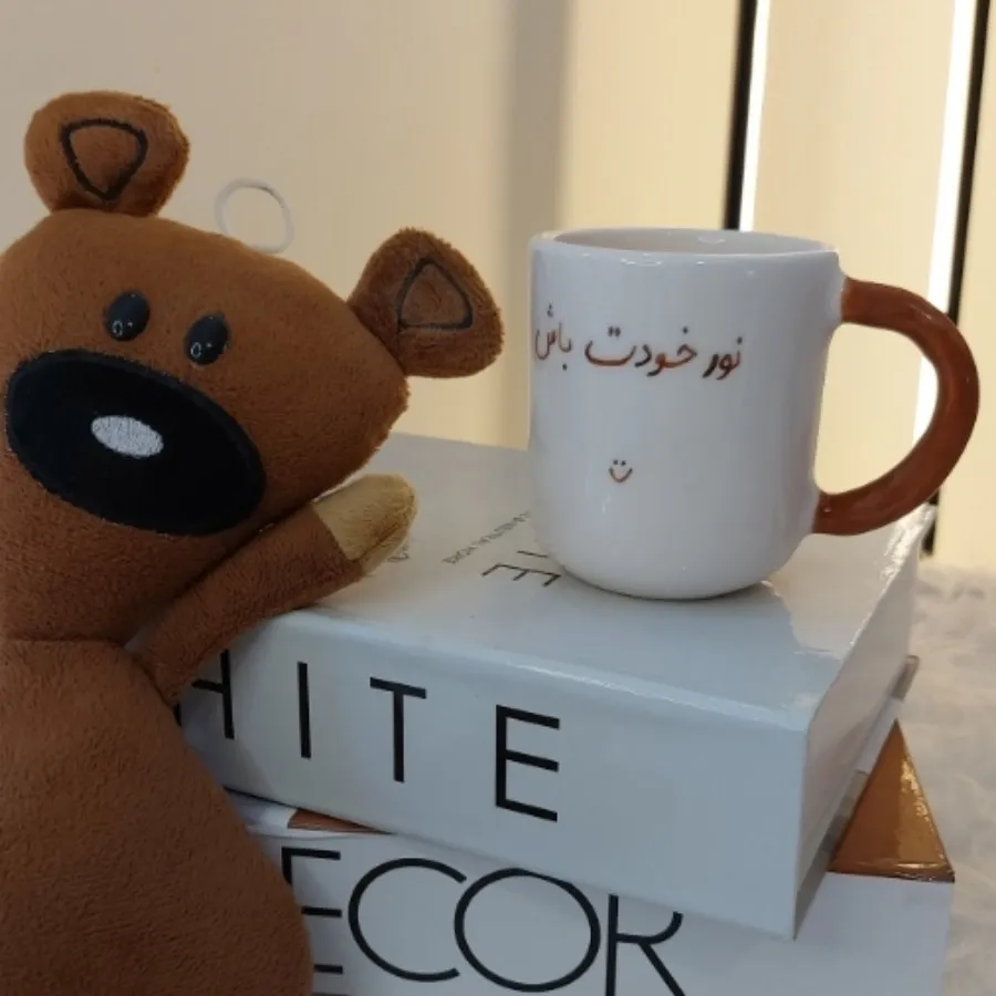 ماگ تدی مستربین