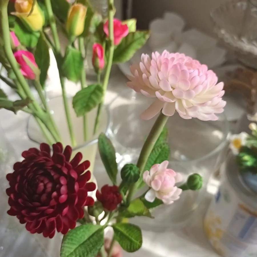 گل های جاودان