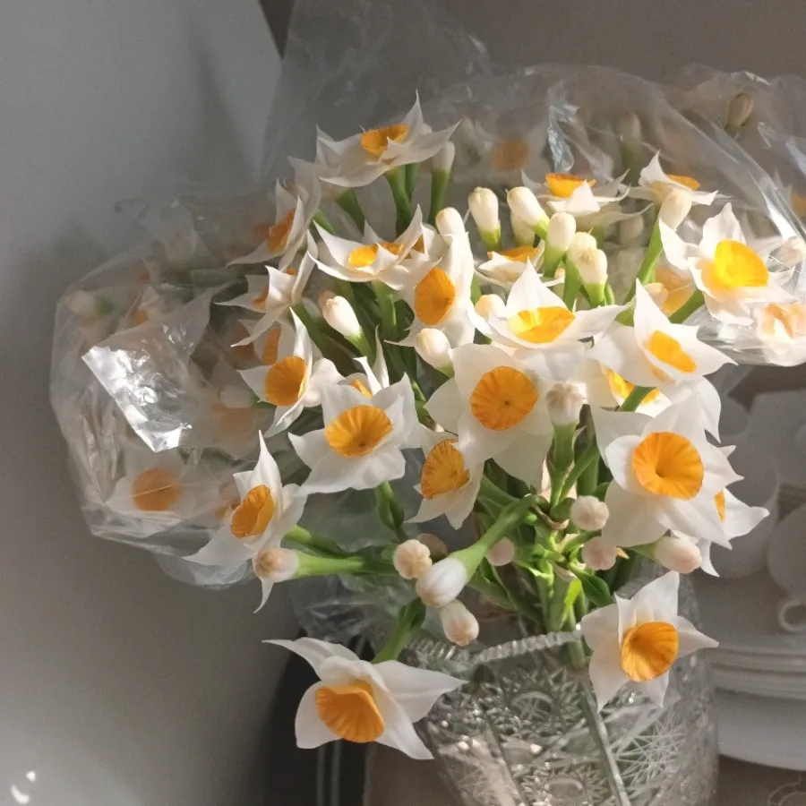 گل های جاودان