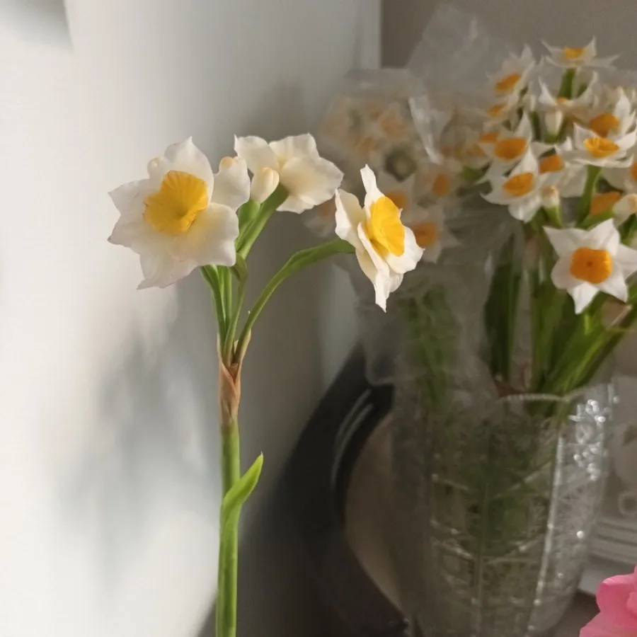 گل های جاودان