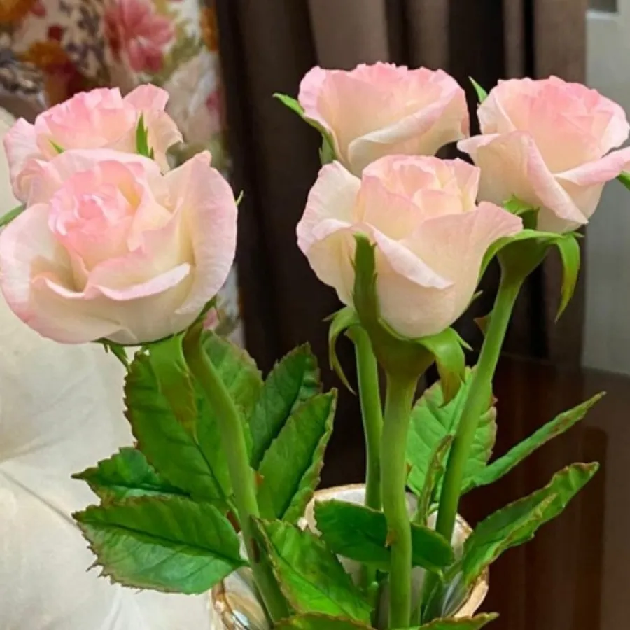 گل های جاودان