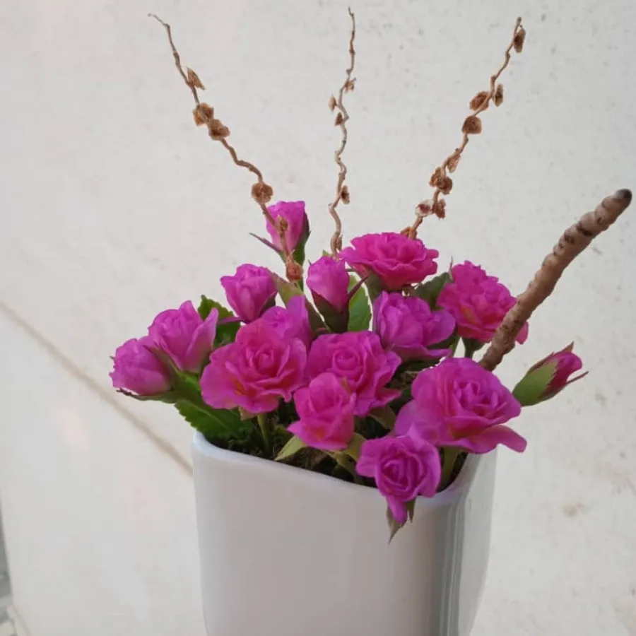 گل های جاودان