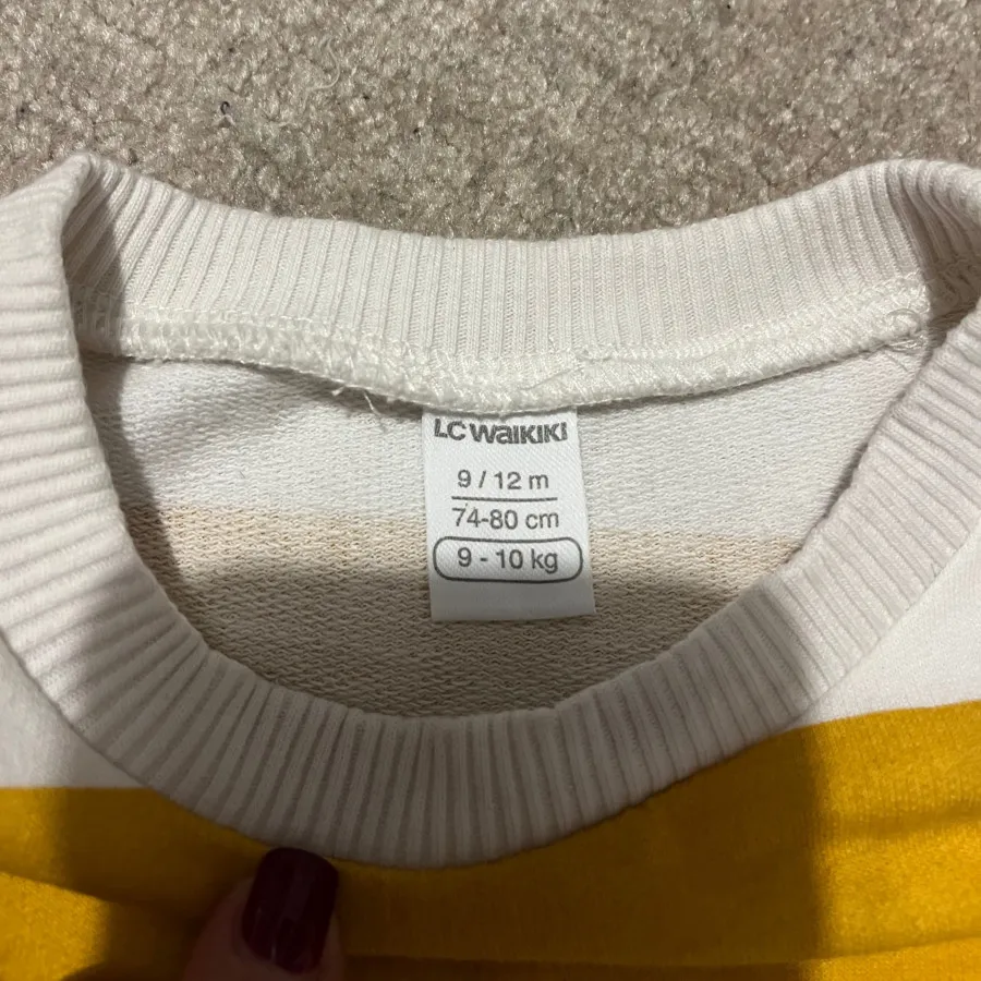 دورس السی وایکیکی