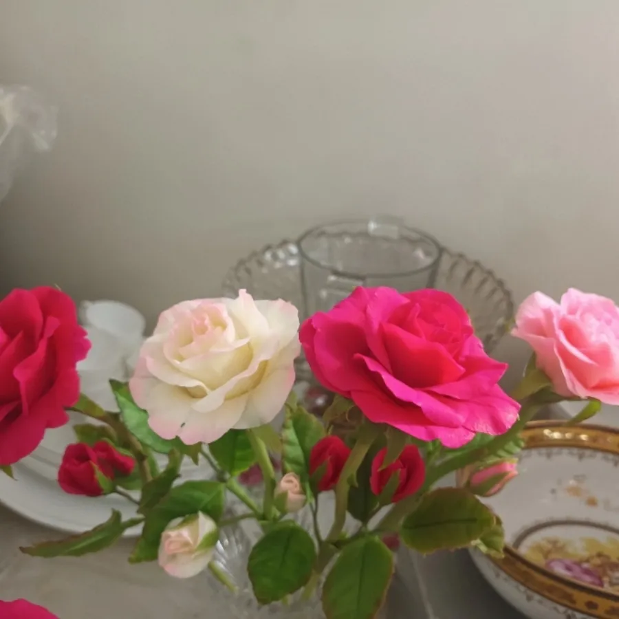 رز جاودان و زیبا