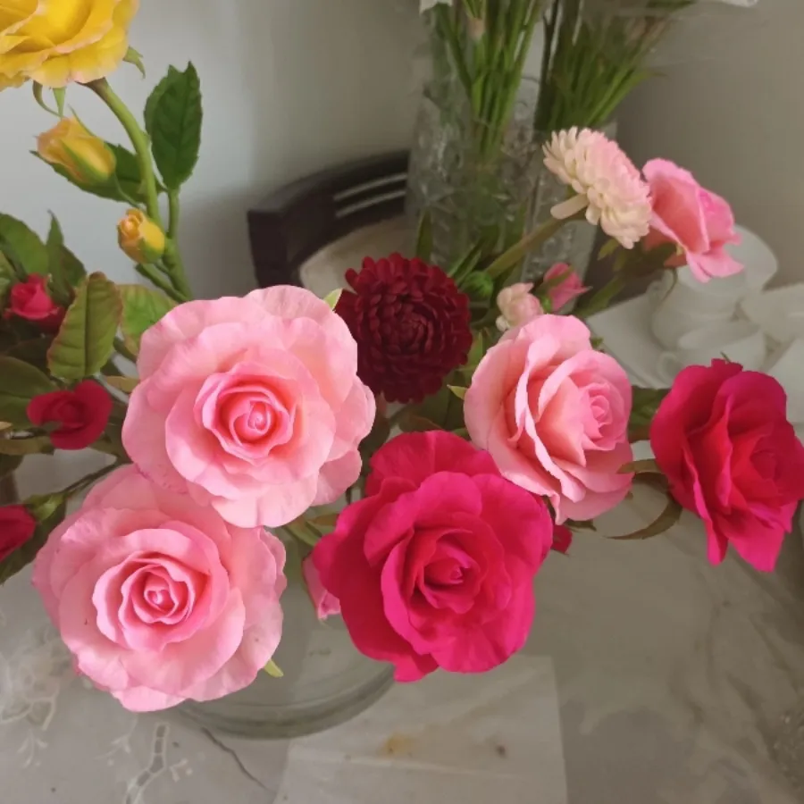 رز جاودان و زیبا