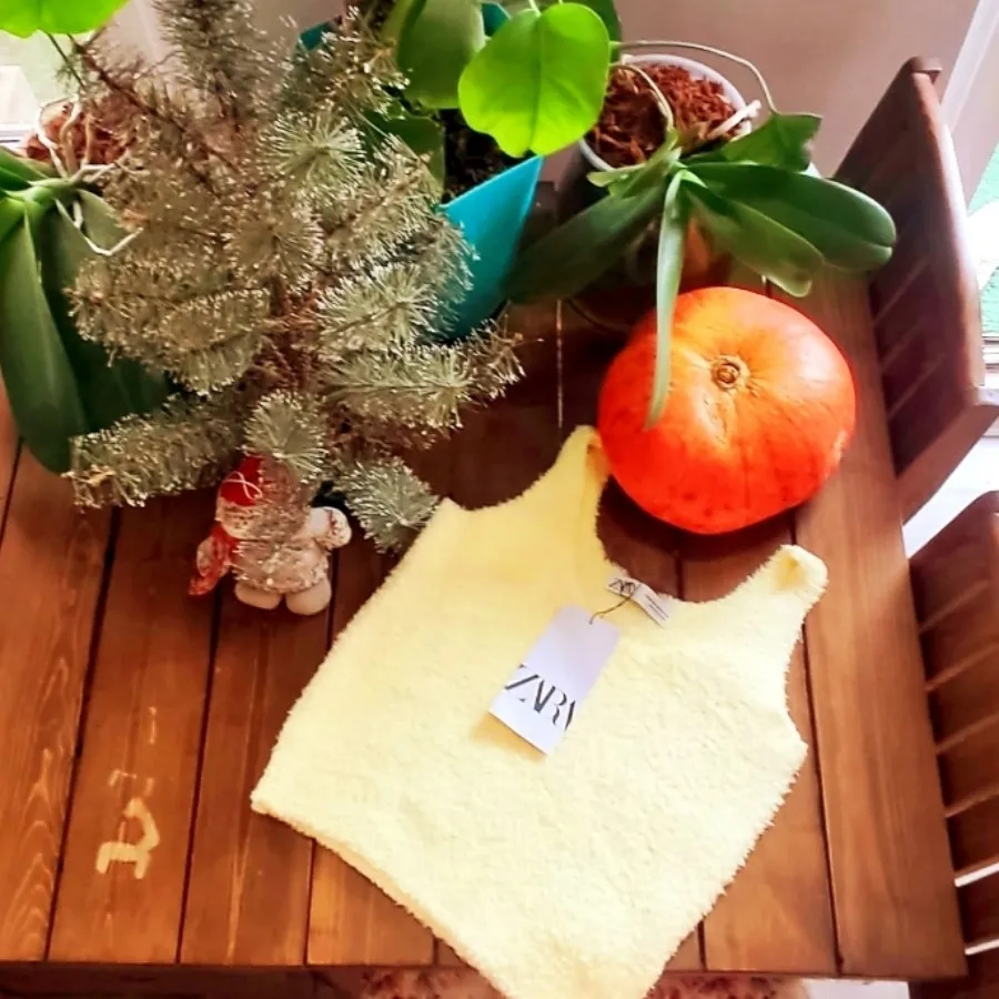 کراپ تاپ تدی زارا