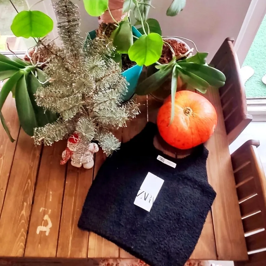 کراپ تاپ تدی زارا