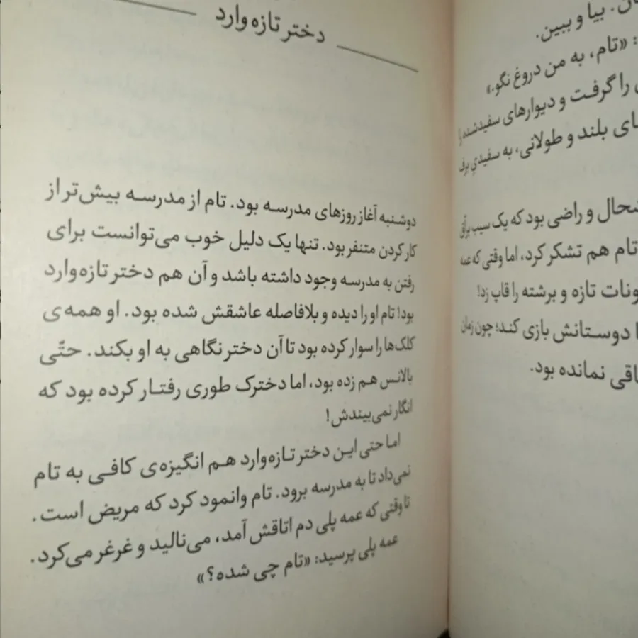 کتاب تام سایر