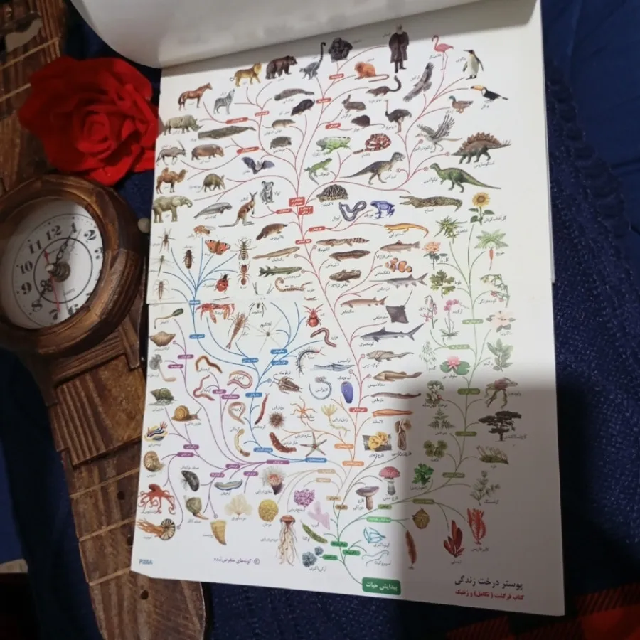 فرگشت و ژنتیک