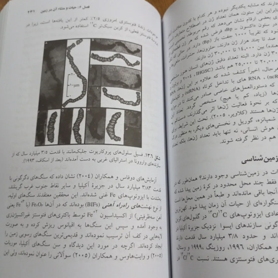 حیات هوشمند در کاینات