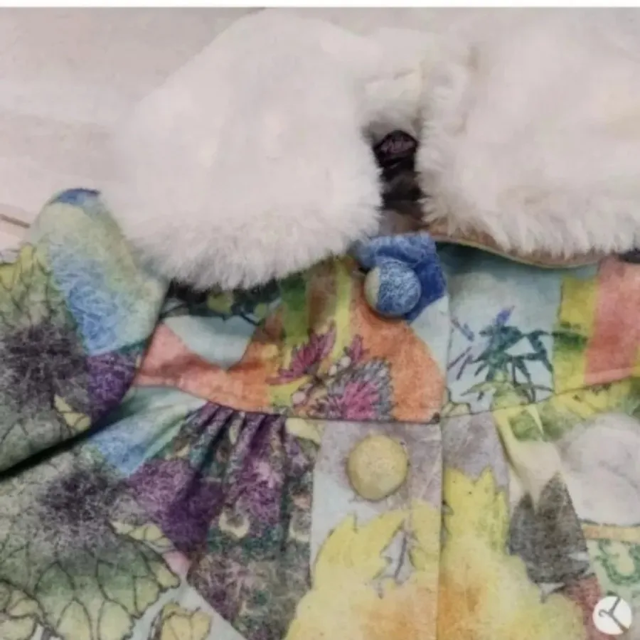 پالتو خارجی