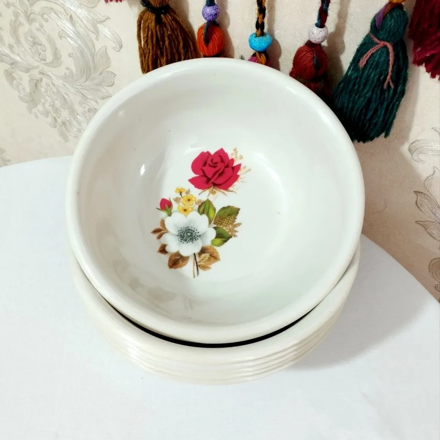 آبگوشت خوری ملامین