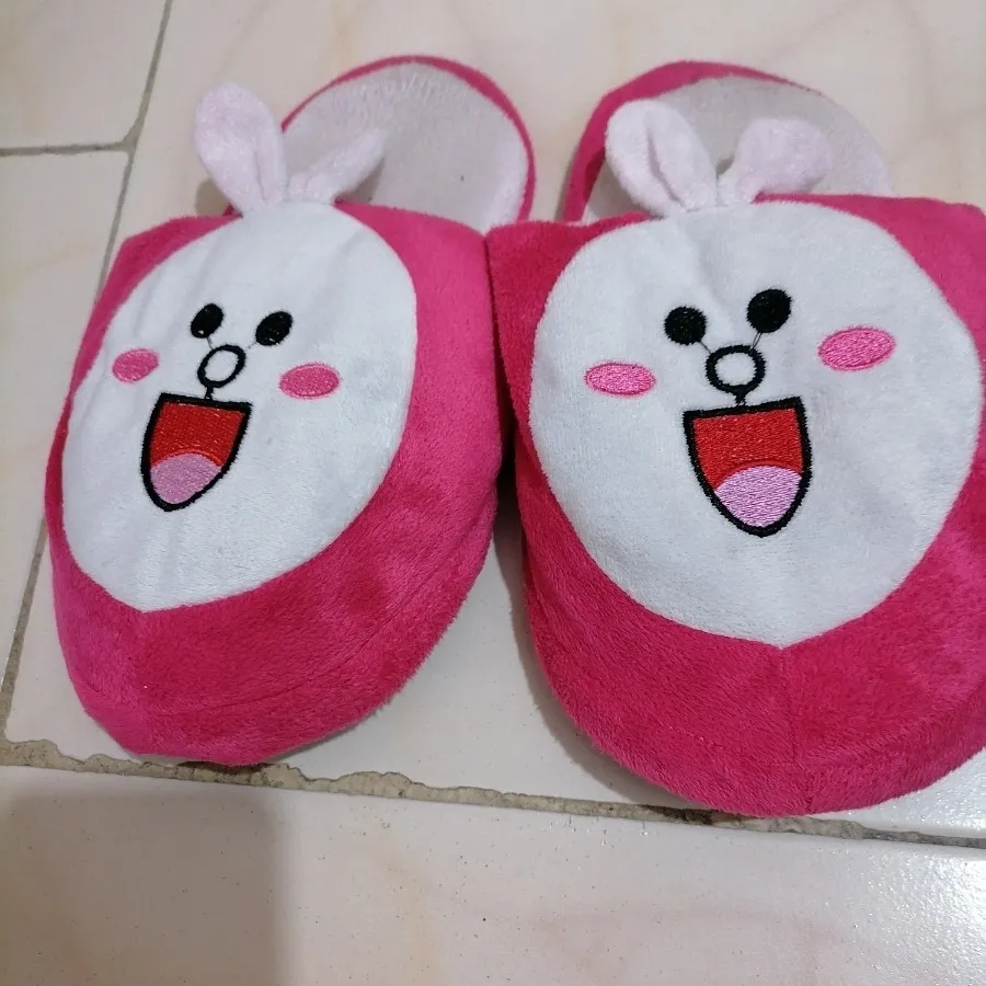 دمپایی پاپوشی