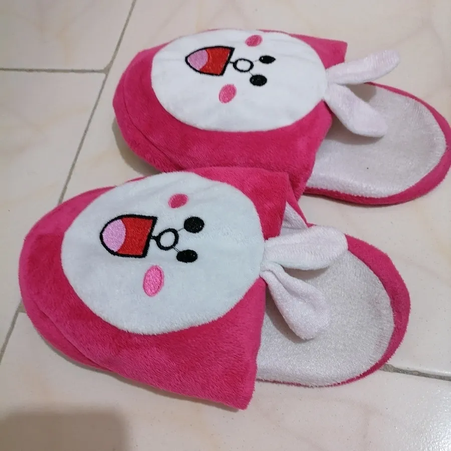 دمپایی پاپوشی