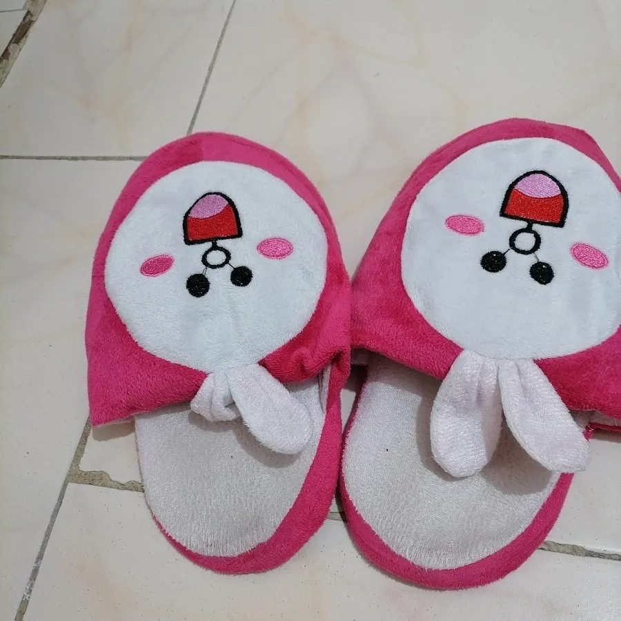 دمپایی پاپوشی