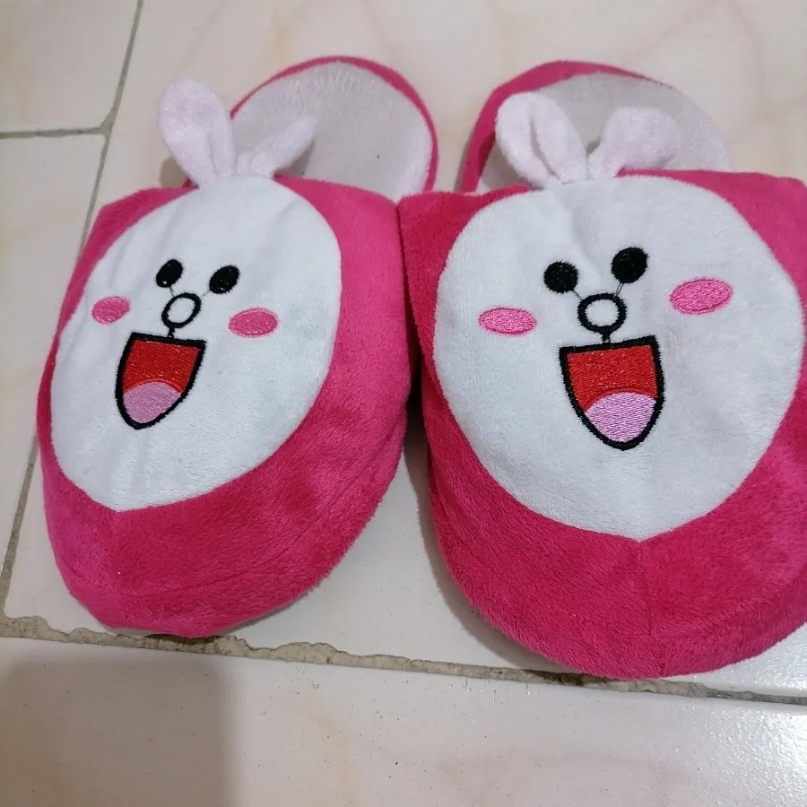 دمپایی پاپوشی