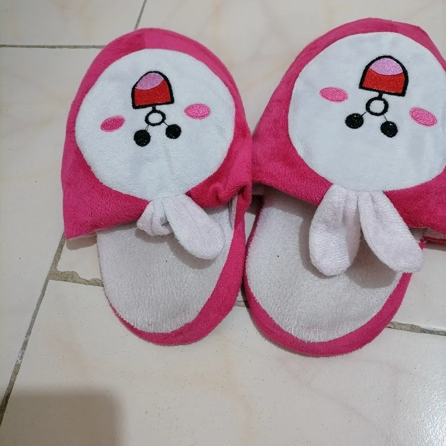 دمپایی پاپوشی