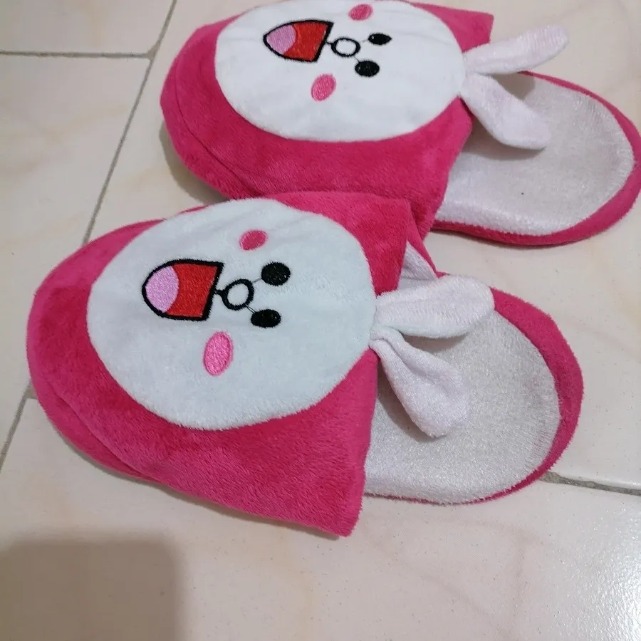 دمپایی پاپوشی