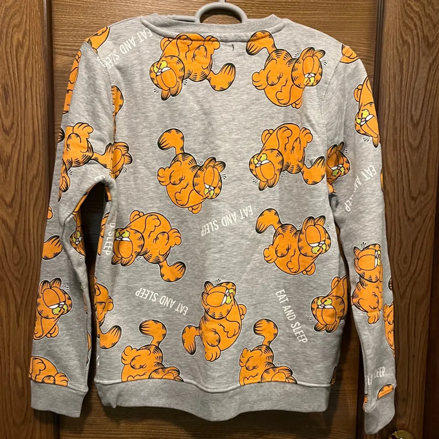 دورس گارفیلد خارجی