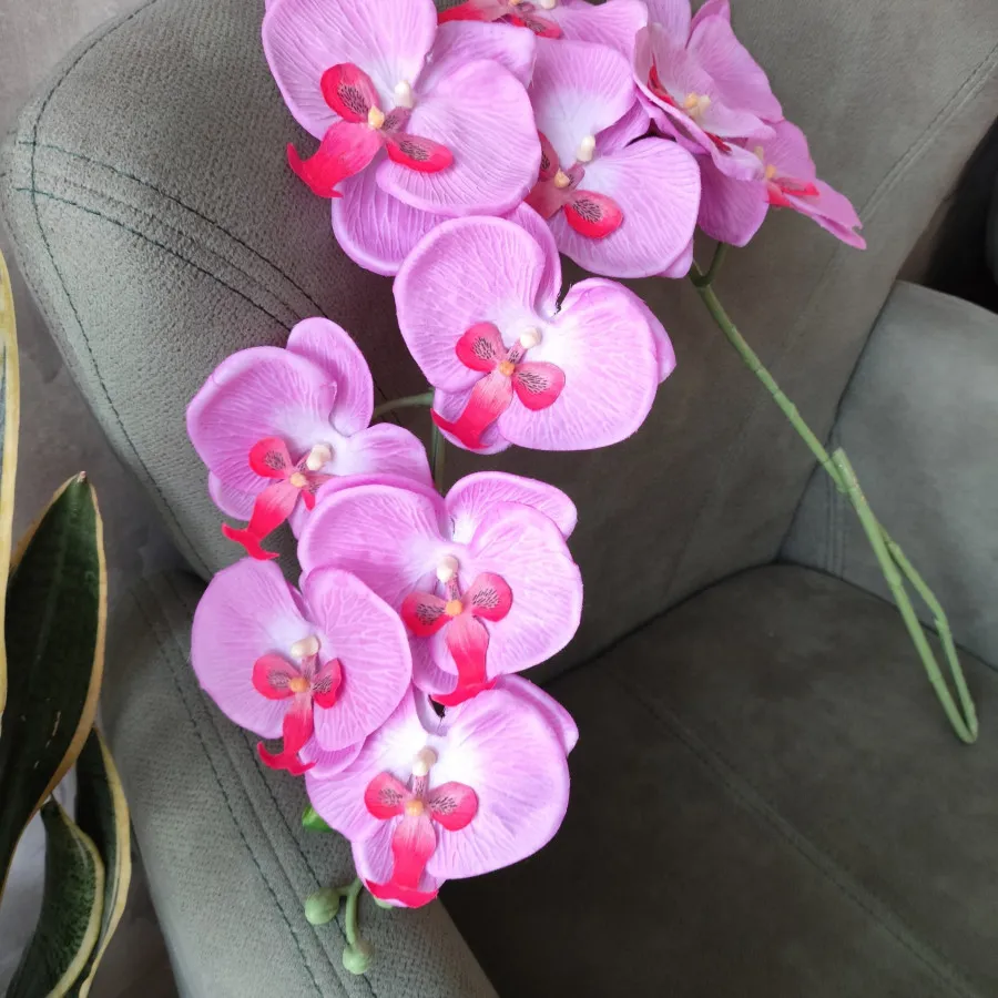 ارکیده لمسی