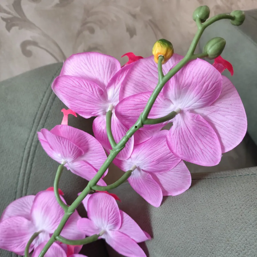 ارکیده لمسی