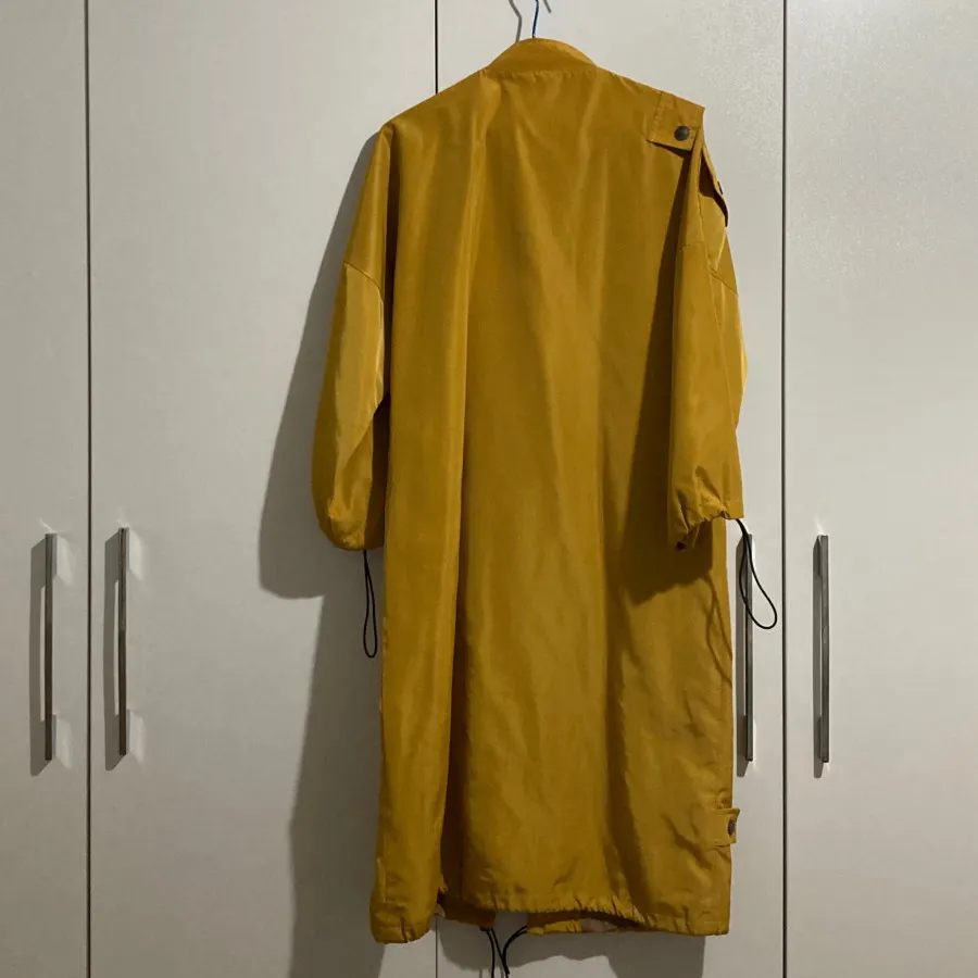 بارونی خردلی