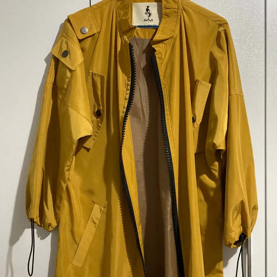 بارونی خردلی