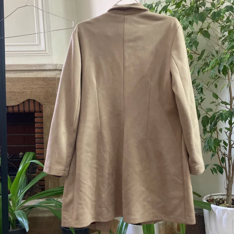 پالتو جنس سوییت