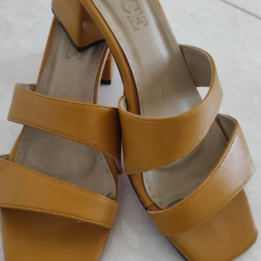 صندل شیک مجلسی