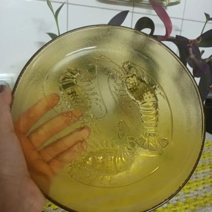 بشقاب طرح میگویی