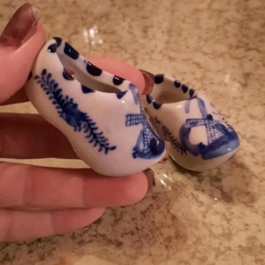 کفش دلف هلند