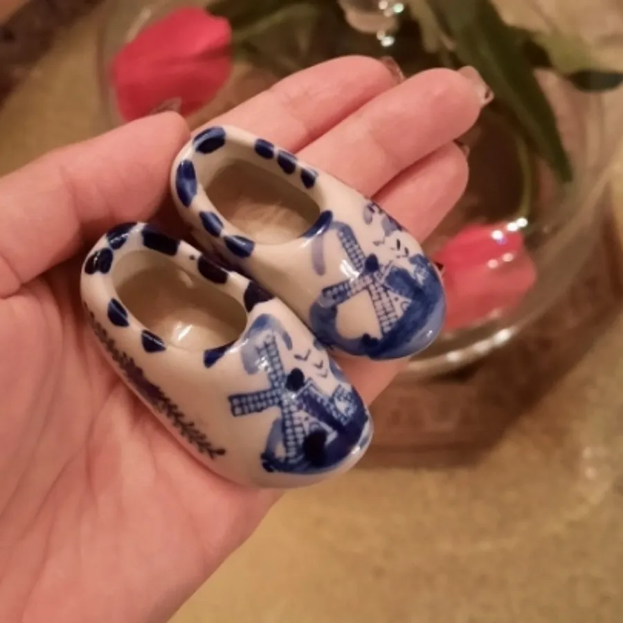 کفش دلف هلند