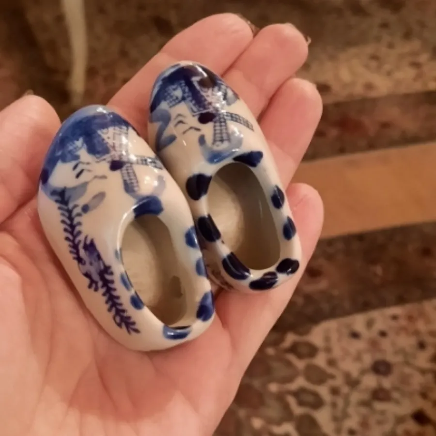 کفش دلف هلند