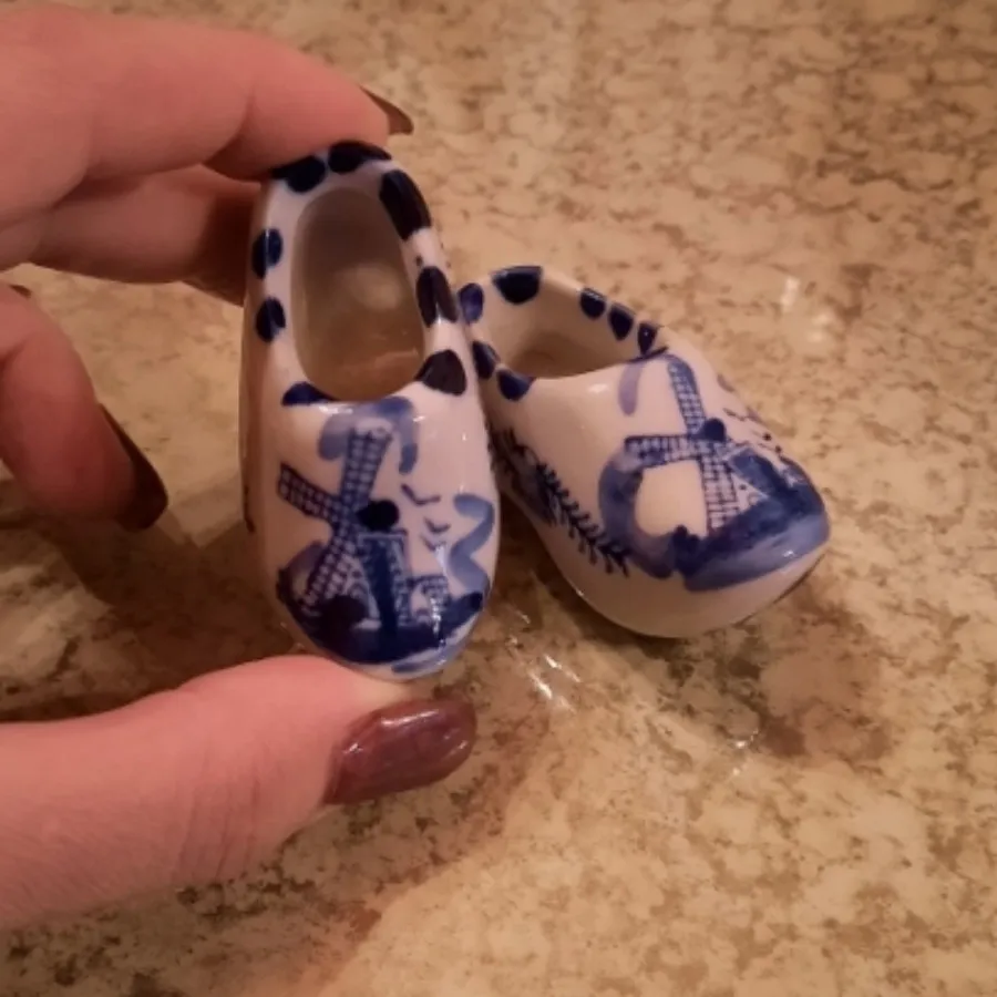 کفش دلف هلند