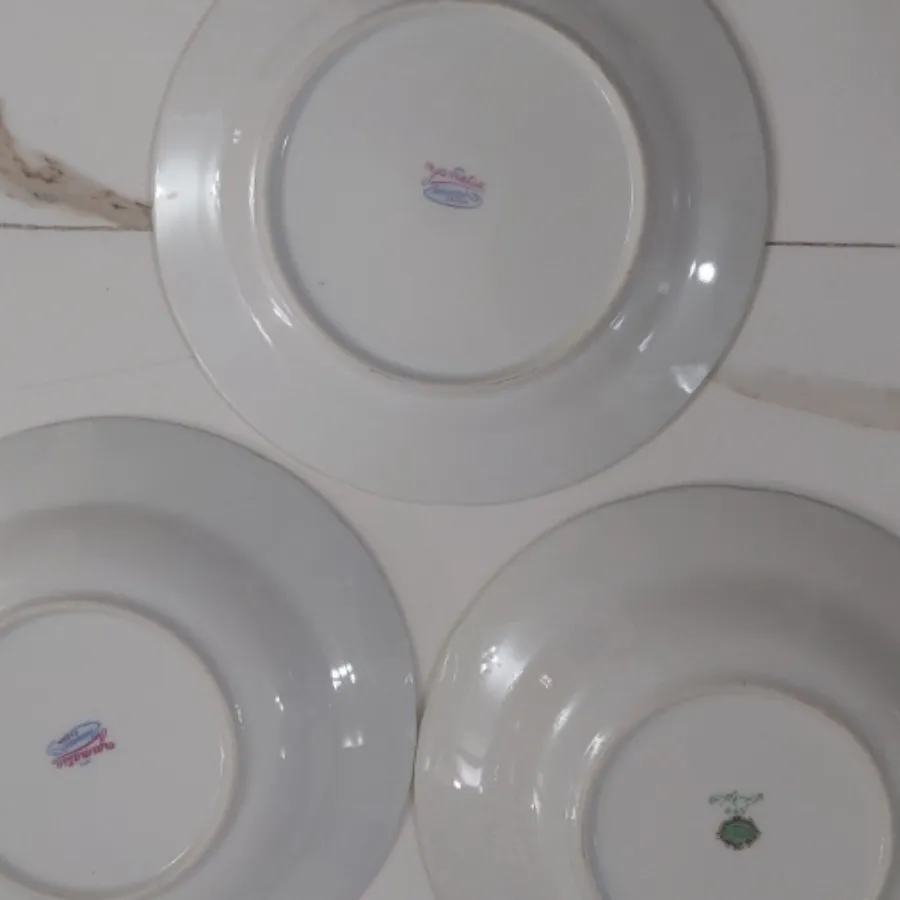 بشقاب گلسرخی گل سرخی