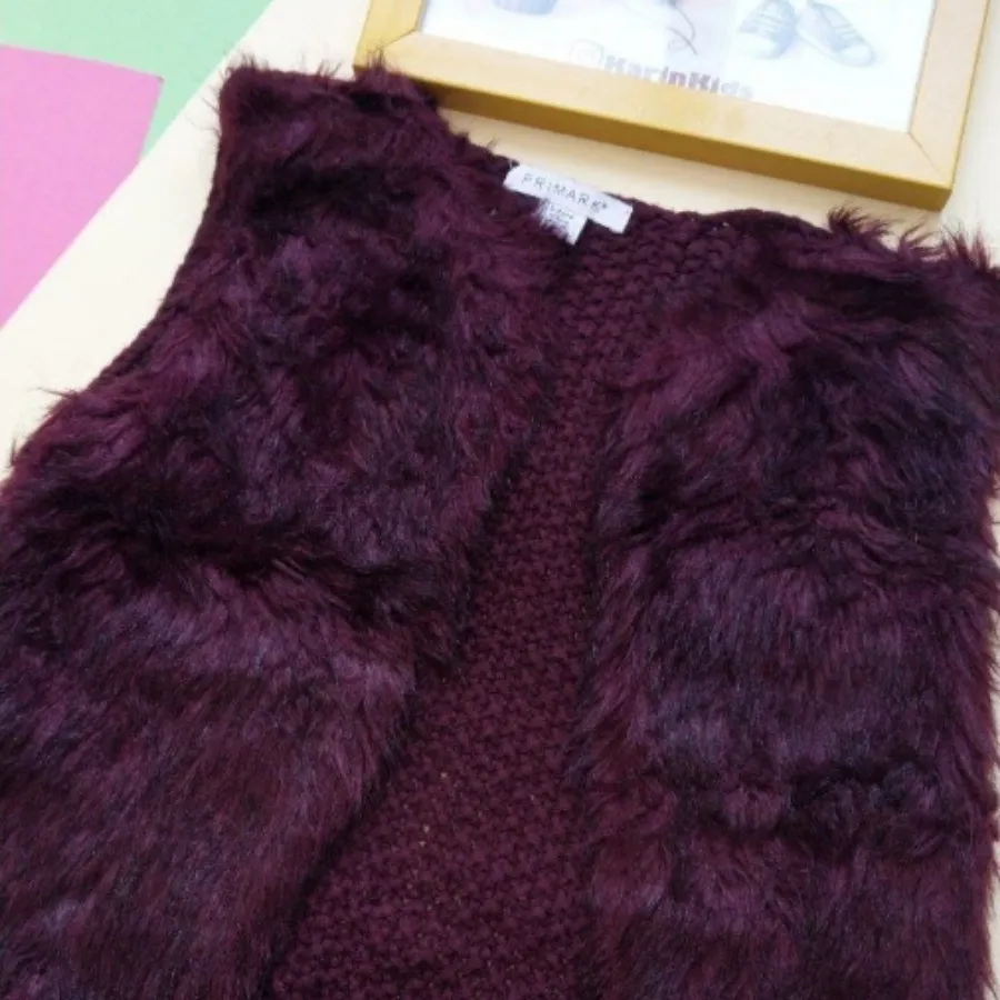 جلیقه مجلسی