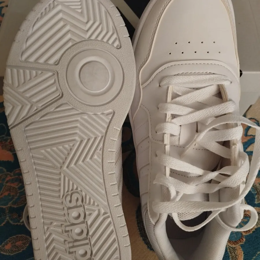 کتونی آدیداس اورجینال