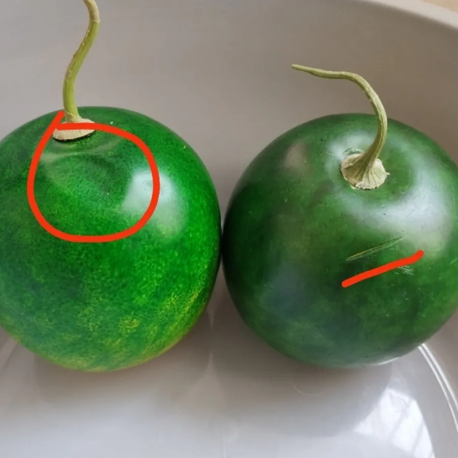 میوه مصنوعی