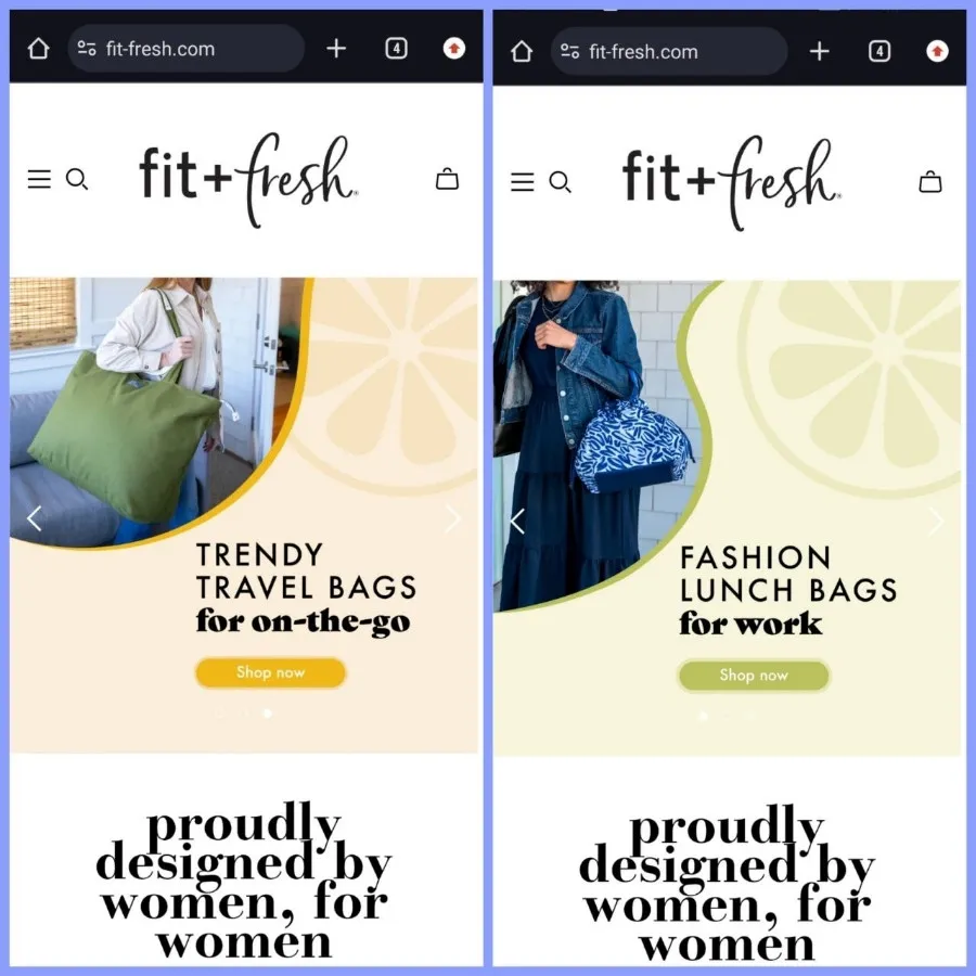 کیف برند fit and fresh