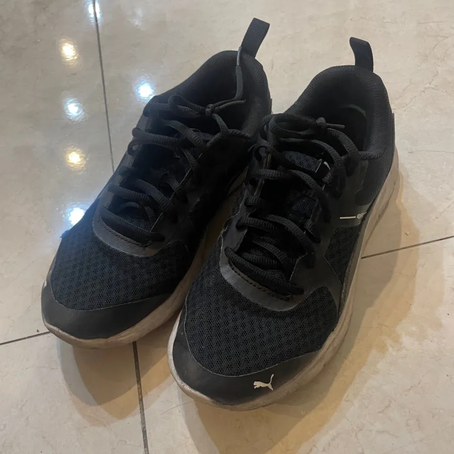 پوما اورجینال