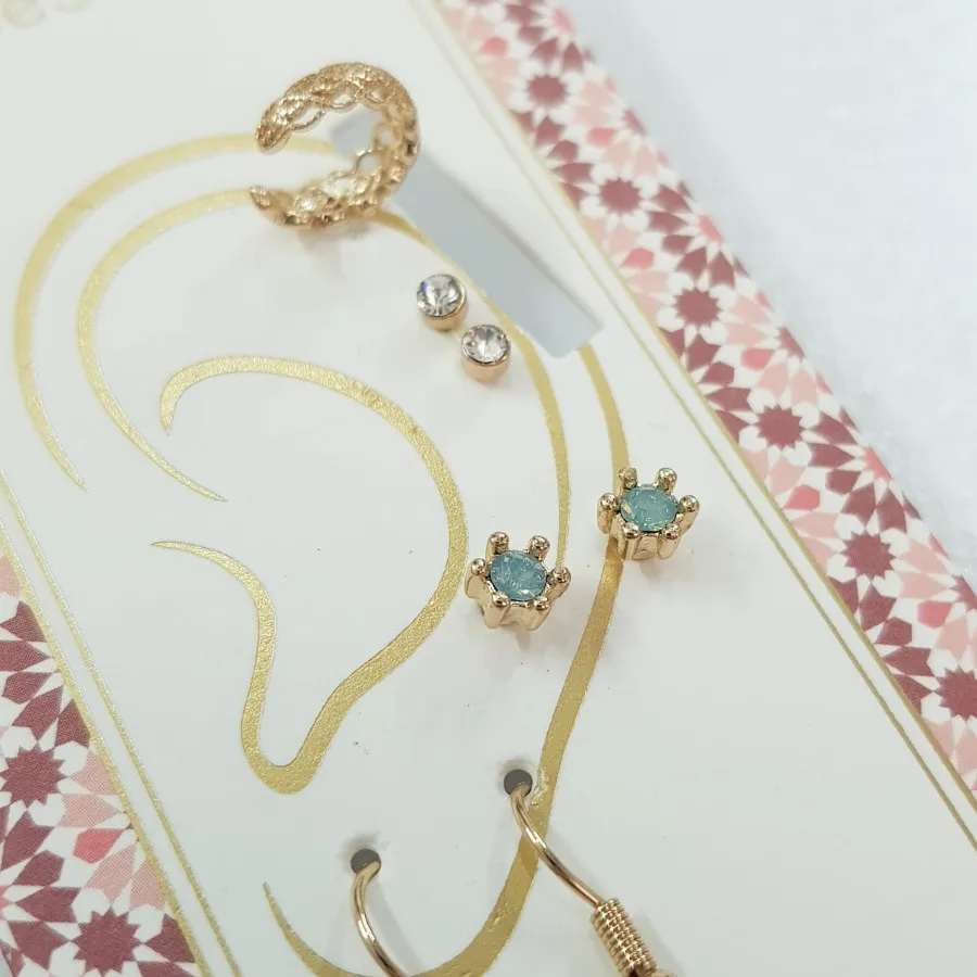 پک ایرکاف گوشواره و گلگوش