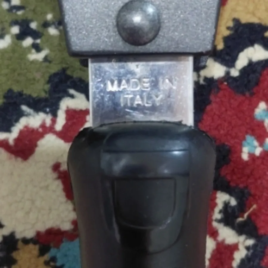 تابه رژیمی دسینی