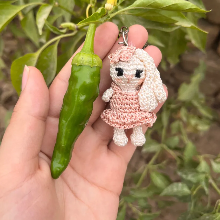 جاسوییچی خرگوش