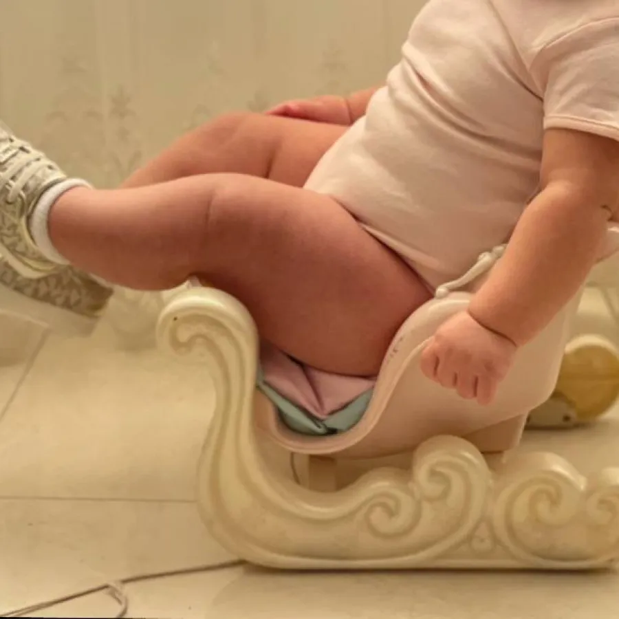 سورتمه برند baby borne